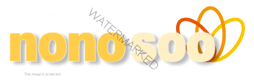 nonosoo.com